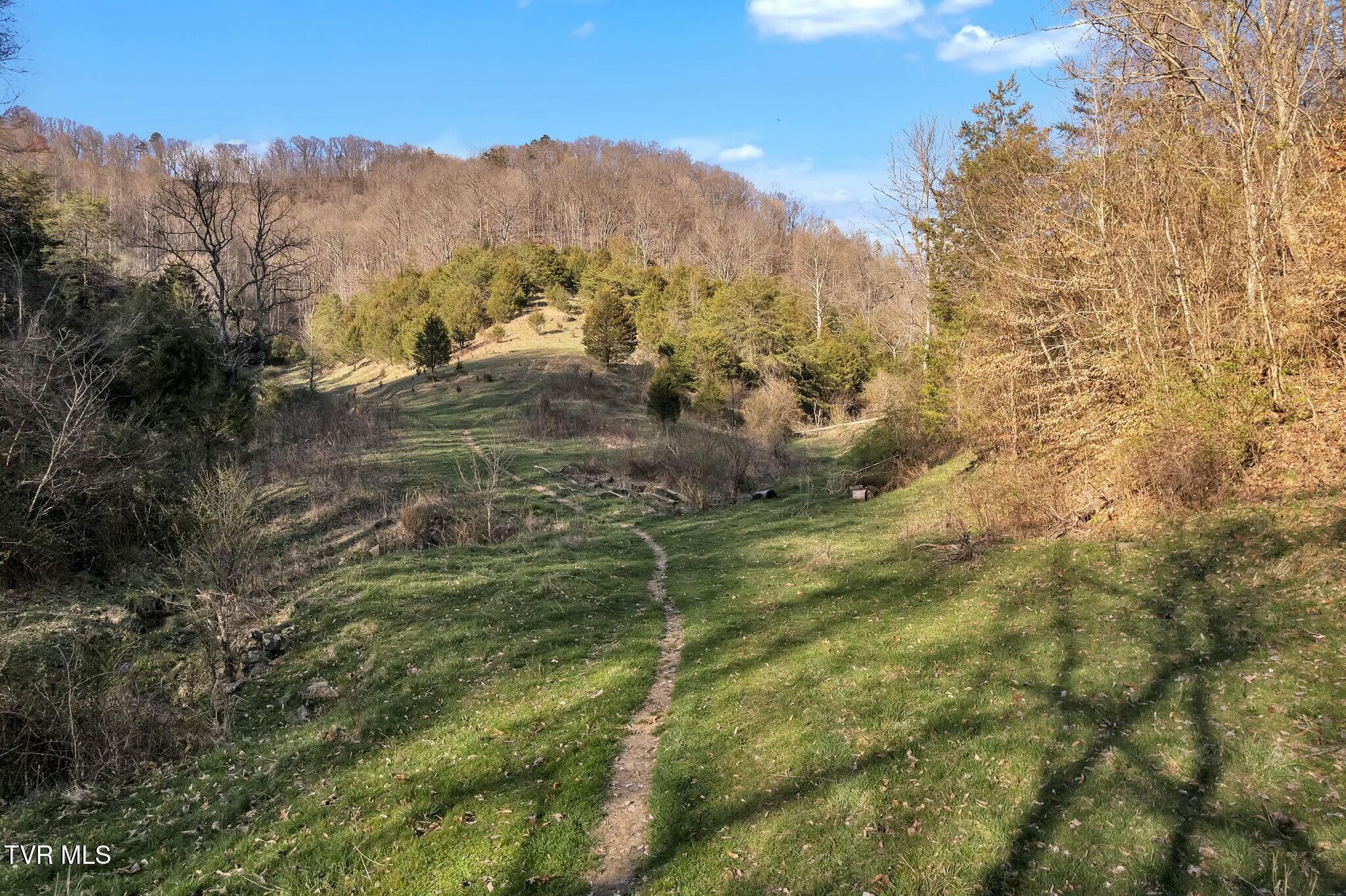 736 Shelleys Road Bristol, VA 24202 - Photo 15 of 82 tempImageL1hJjt