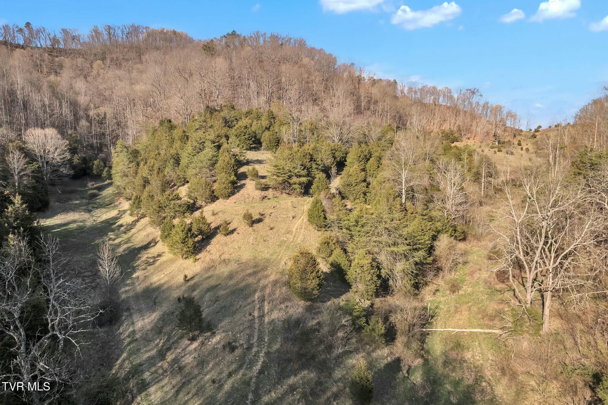 736 Shelleys Road Bristol, VA 24202 - Photo 16 of 82 tempImageYR6Sq4