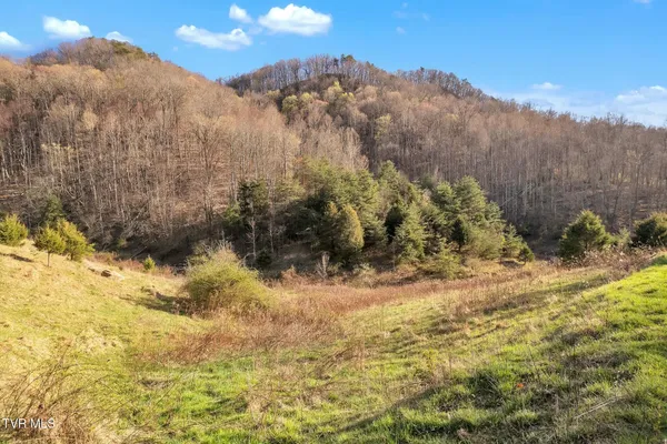 $1,499,900 | 736 Shelleys Road, Bristol, VA 24202