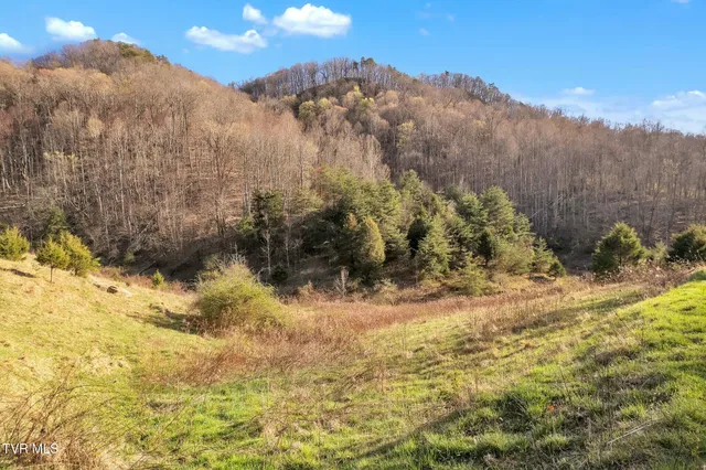 $1,599,900 | 736 Shelleys Road, Bristol, VA 24202