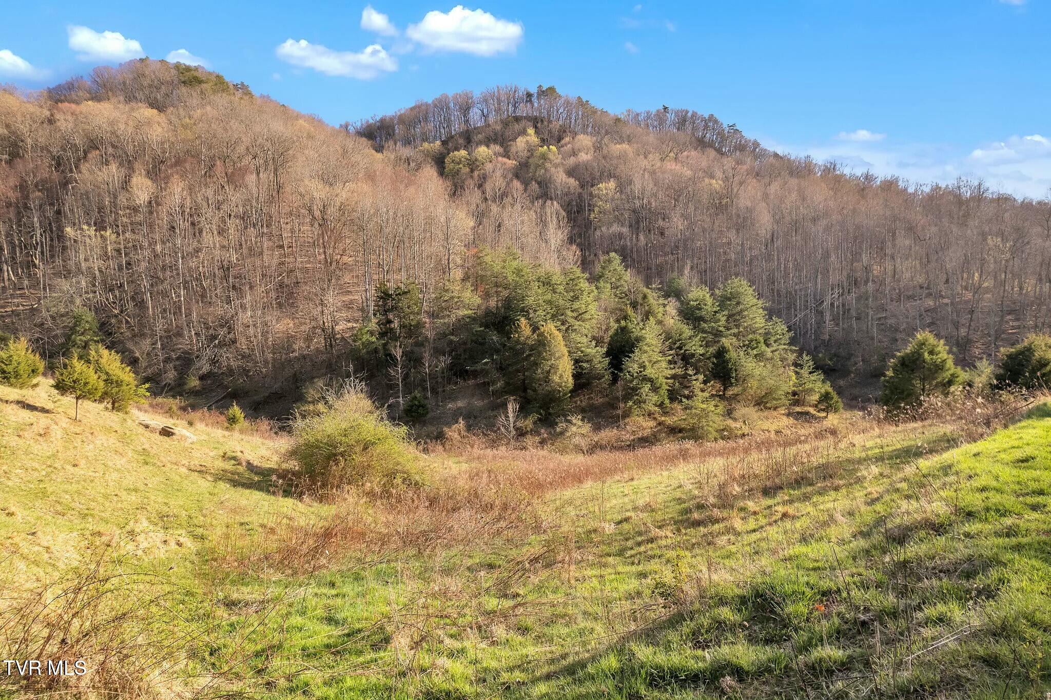 736 Shelleys Road Bristol, VA 24202 - Photo 17 of 82 tempImageu0zukW