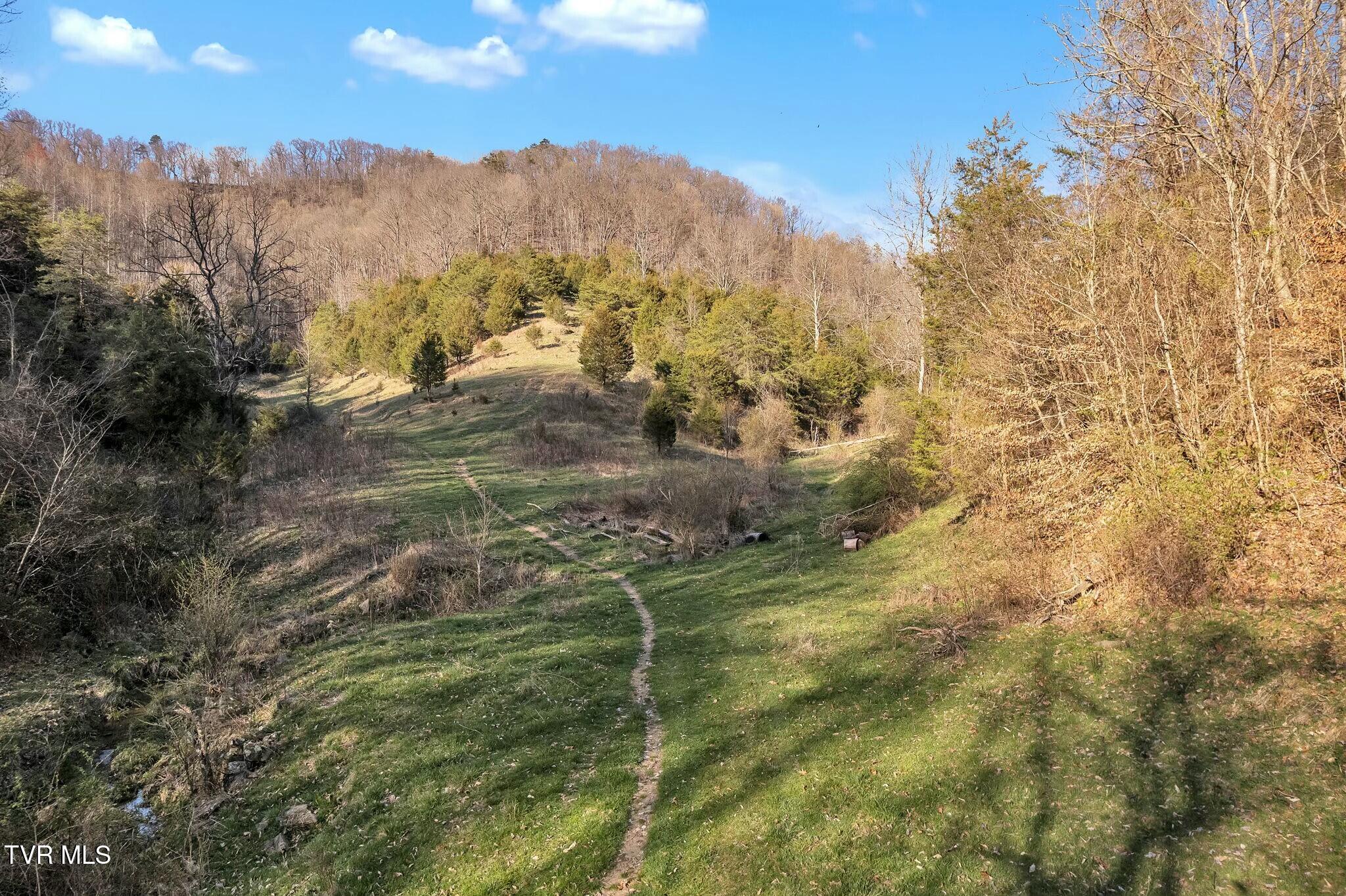 736 Shelleys Road Bristol, VA 24202 - Photo 18 of 82 tempImageSjPqGh