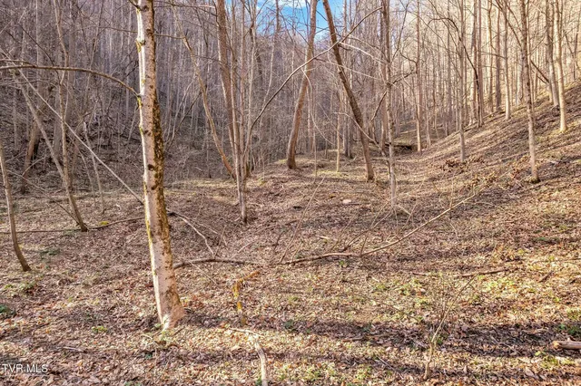 $1,599,900 | 736 Shelleys Road, Bristol, VA 24202