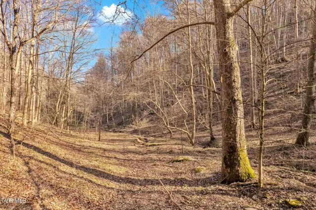 $1,599,900 | 736 Shelleys Road, Bristol, VA 24202