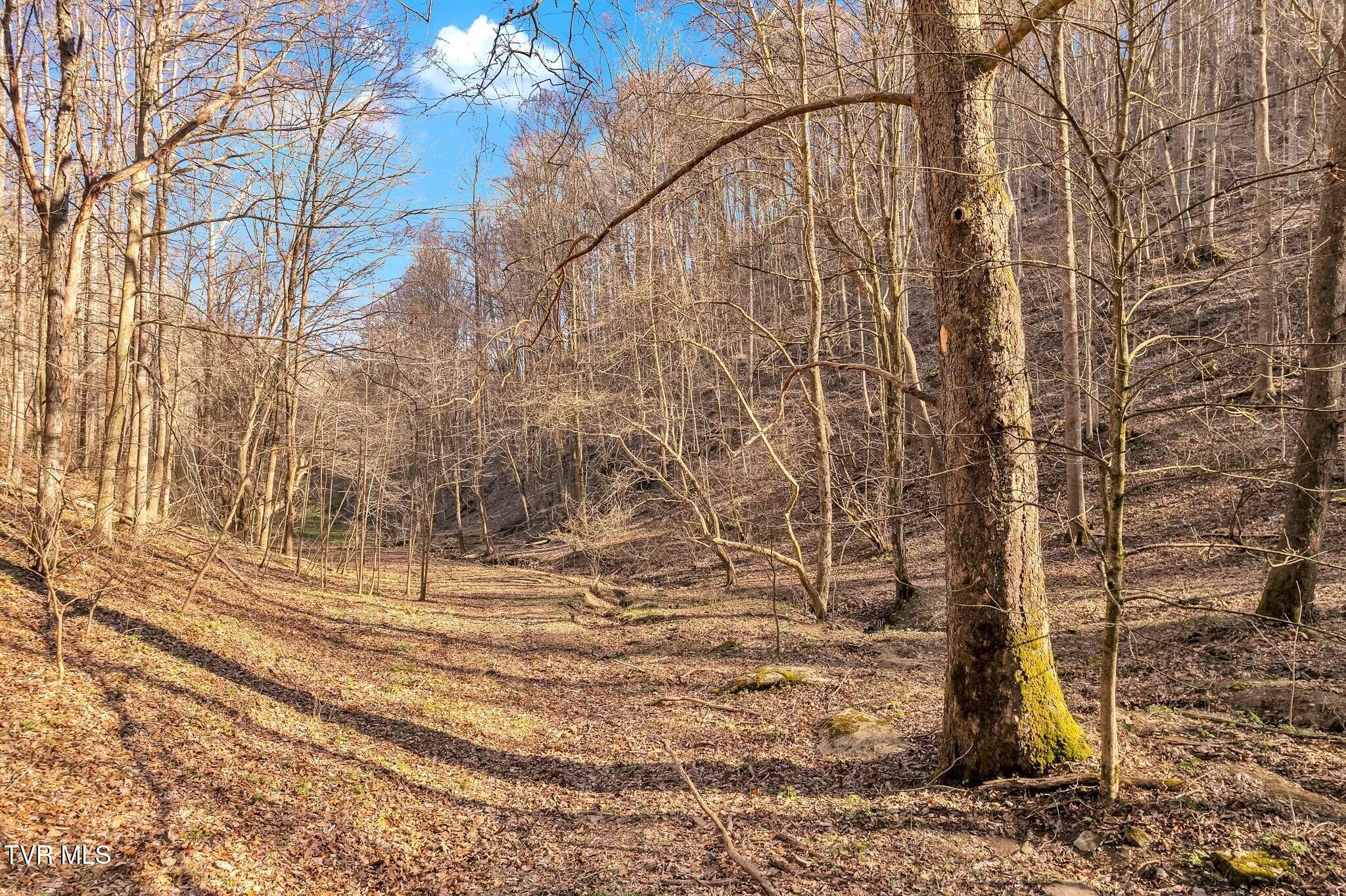 736 Shelleys Road Bristol, VA 24202 - Photo 10 of 82 tempImageHbzCfu