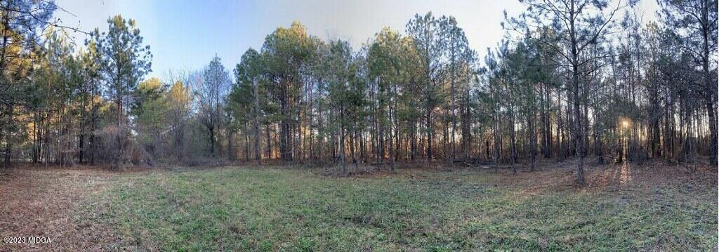 170 Terrell Road Elko, GA 31025 - Photo 30 of 35 a view of outdoor space and green space