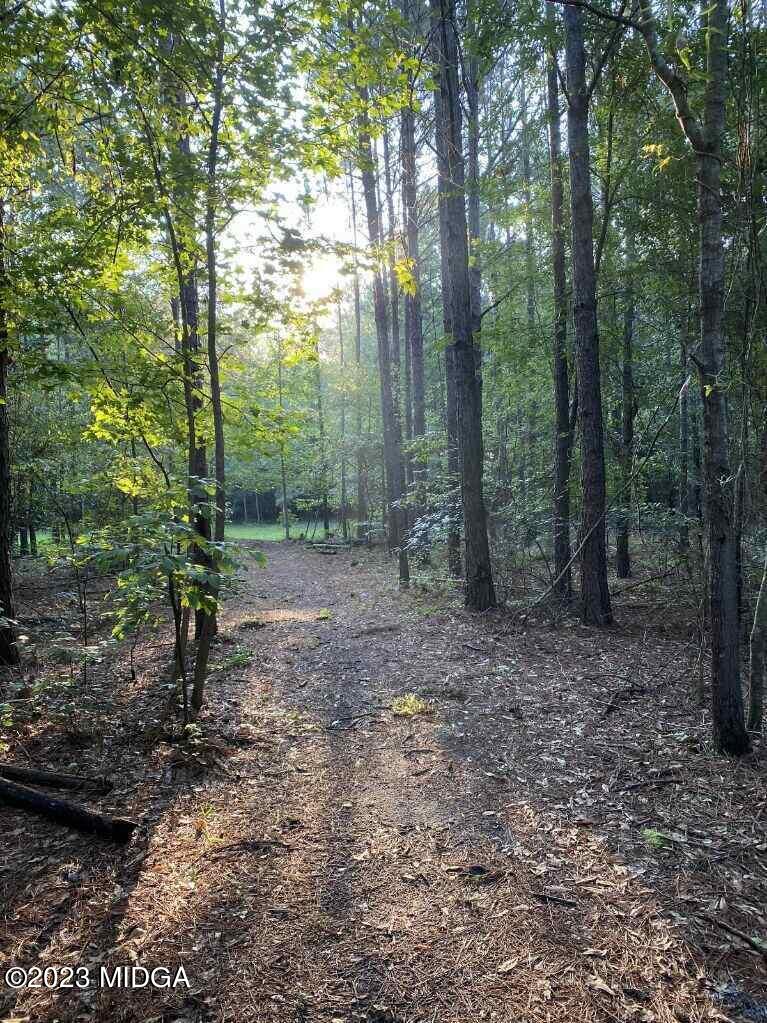 170 Terrell Road Elko, GA 31025 - Photo 32 of 35 a view of a forest with trees in the background