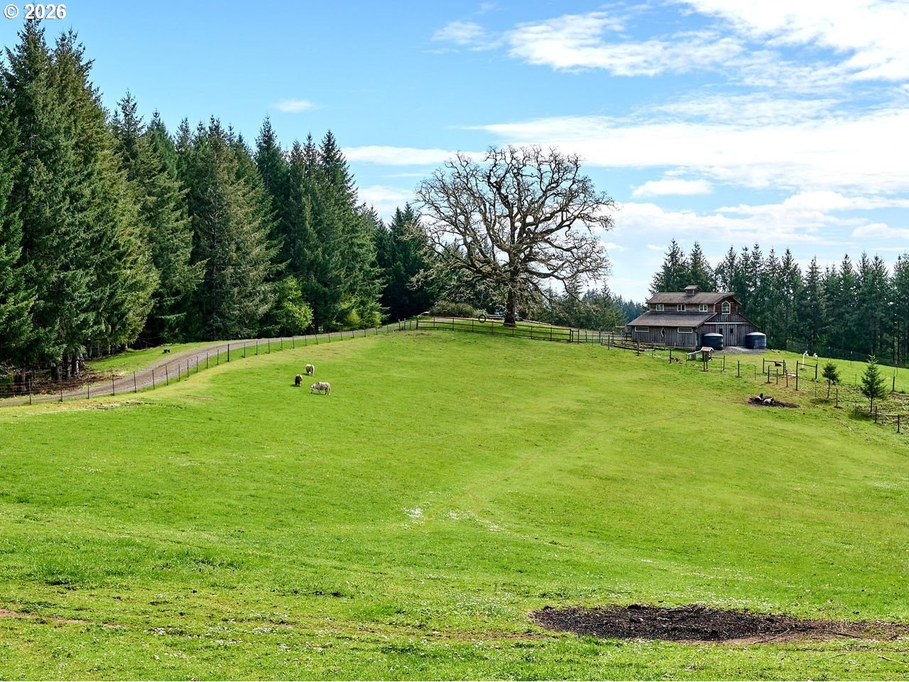 16460 Northwest Meadowlake Road Carlton, OR 97111 - Photo 42 of 48 Pasture