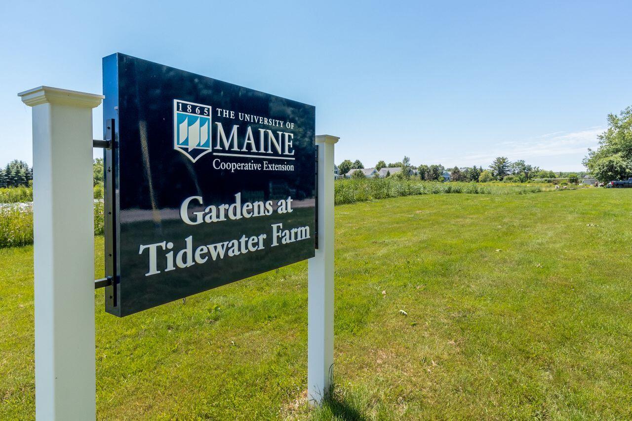 16 Farm Gate Road Falmouth, ME 04105 - Photo 10 of 19 20220621Kj-71086