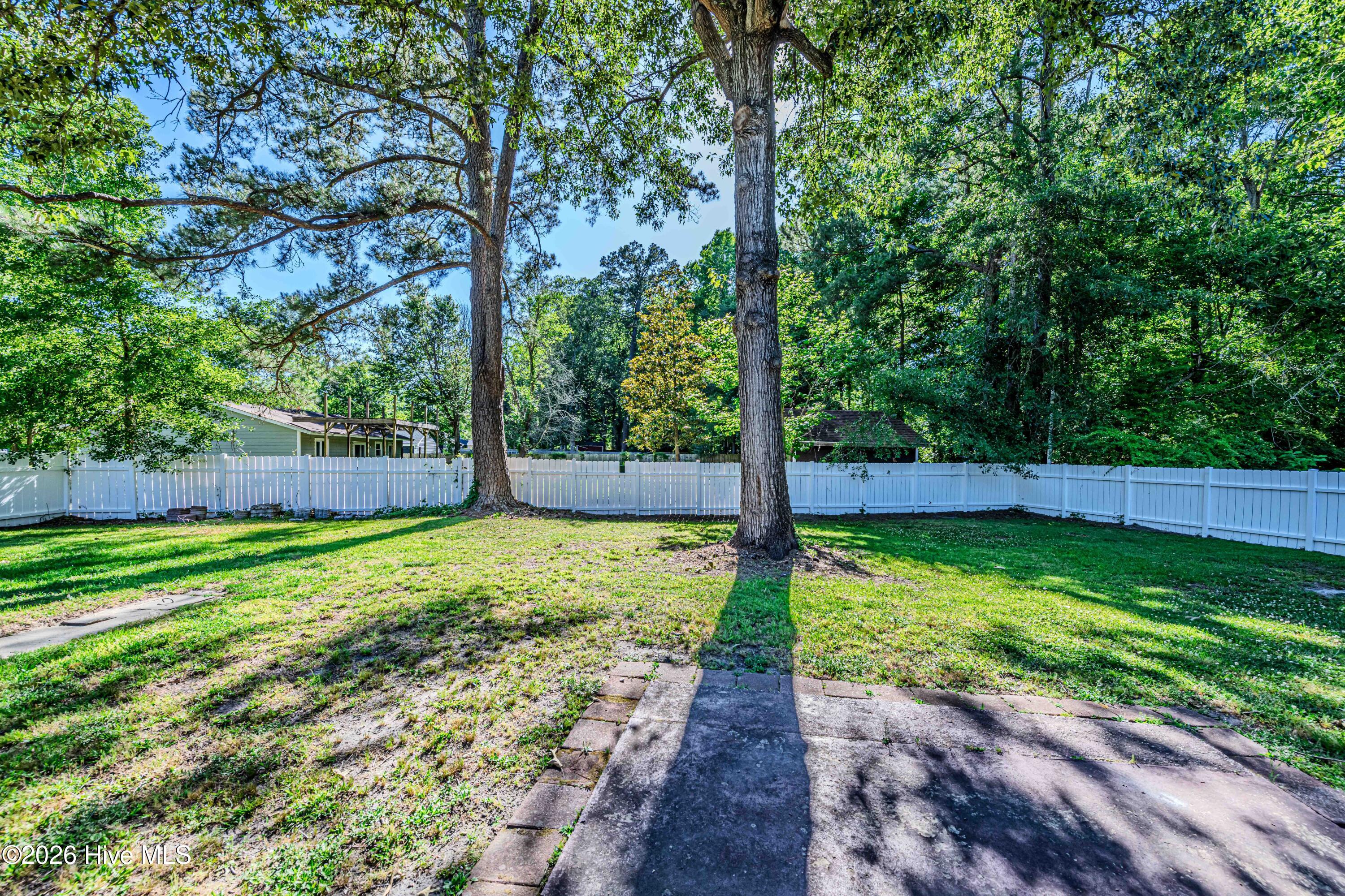 800 Mill River Road Jacksonville, NC 28540 - Photo 43 of 60 Backyard