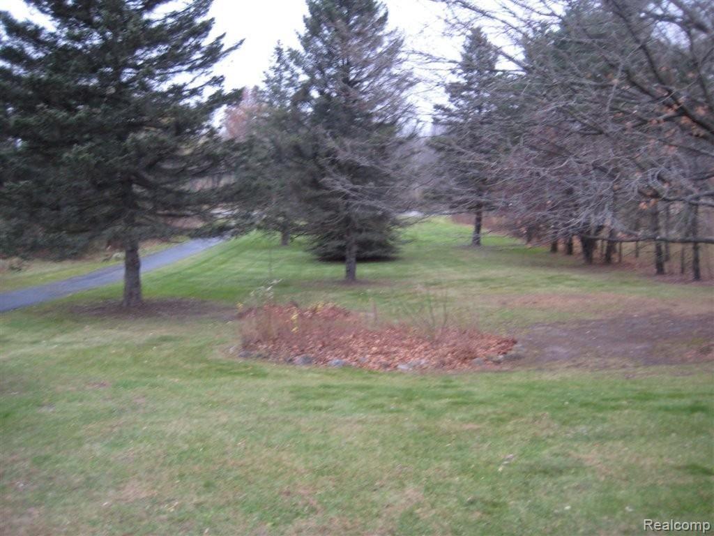 824 East Romeo Road Oakland, MI 48363 - Photo 4 of 16 4-yard&driveway.jpg