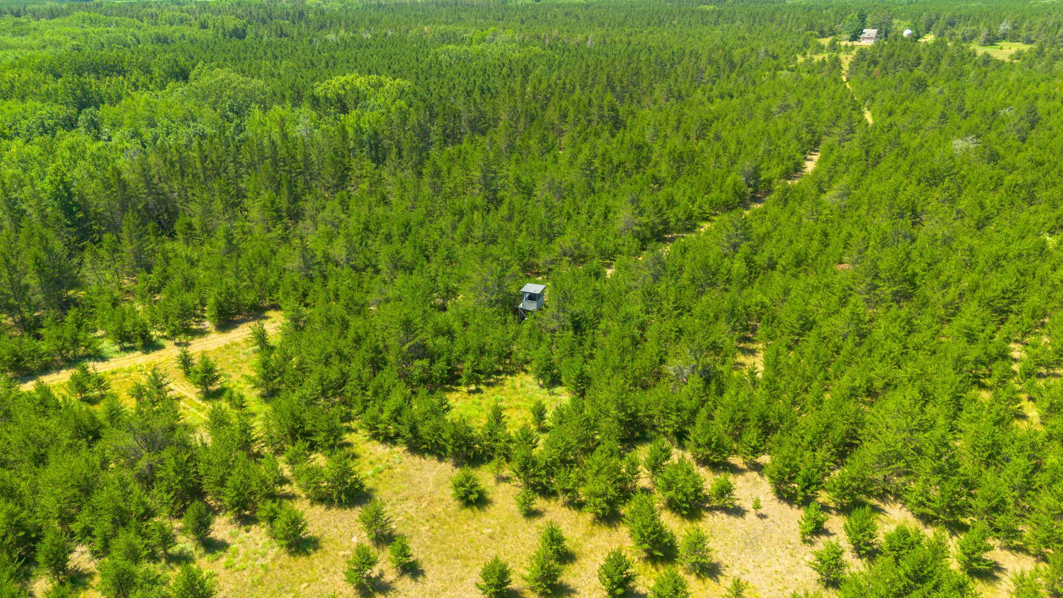 Tract 1-tbd Hubbard Line Road Menahga, MN 56464 - Photo 24 of 57 Gallery Image 24