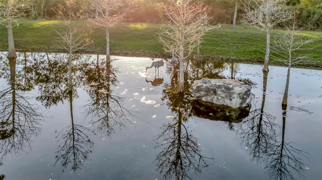 7330 Crabgrass Road St. Cloud, FL 34773 - Photo 40 of 59