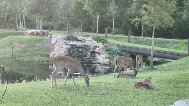 $1,000,000 | 7330 Crabgrass Road, St. Cloud, FL 34773