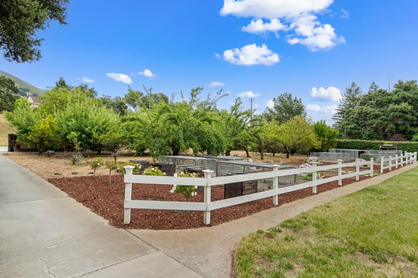 12135 Watsonville Road Gilroy, CA 95020 - Photo 3 of 83 a view of a swimming pool with a patio