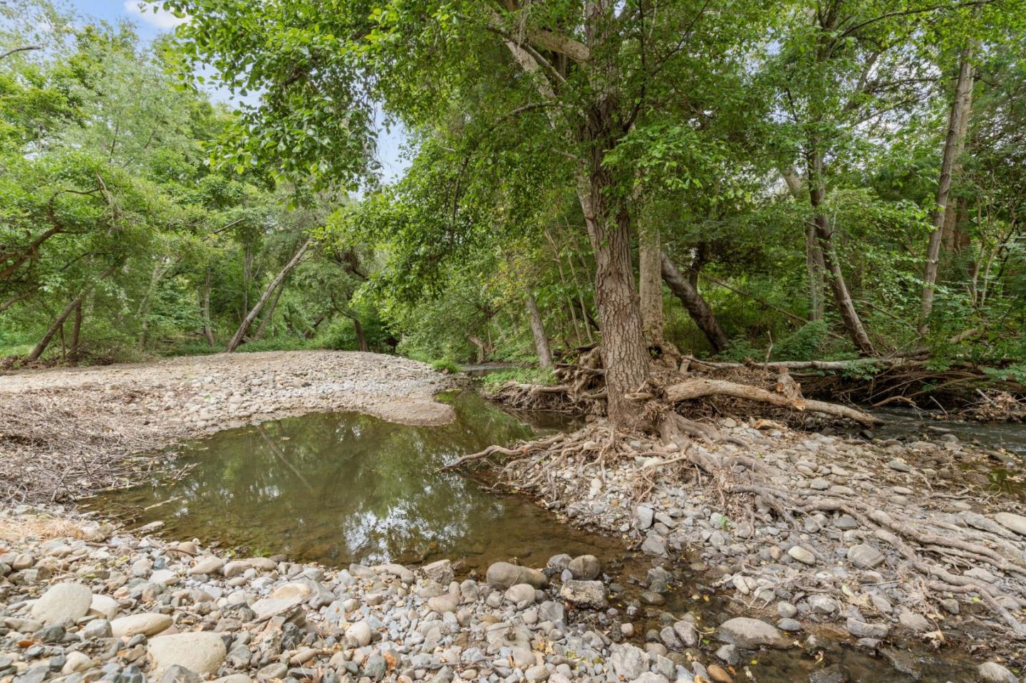 12135 Watsonville Road Gilroy, CA 95020 - Photo 59 of 83