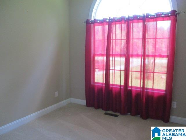 48659 Highway 231 Oneonta, AL 35121 - Photo 12 of 38
