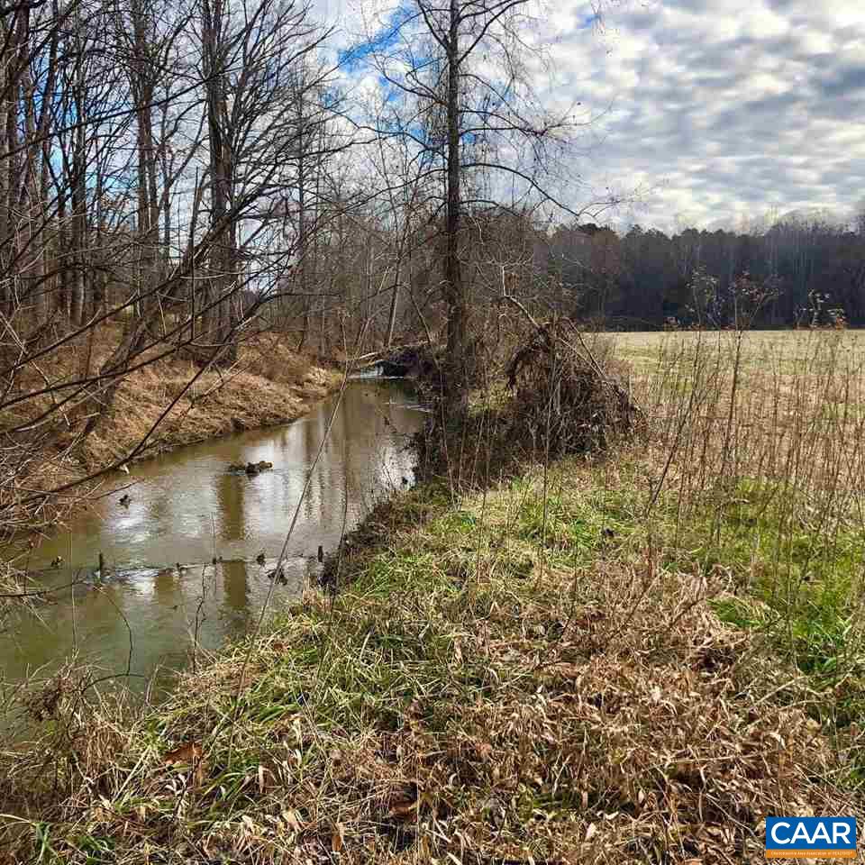 1324 Broomley Road Charlottesville, VA 22901 - Photo 6 of 50 Lots of Ivy Creek frontage and flat, open bottom land..