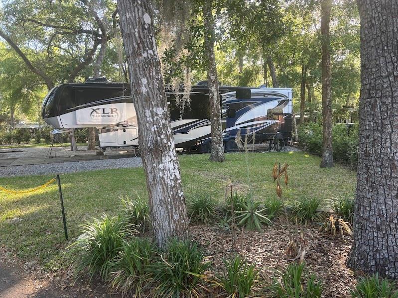 14262 Northeast 252nd Ct Road, Unit 198 Fort McCoy, FL 32134 - Photo 5 of 39