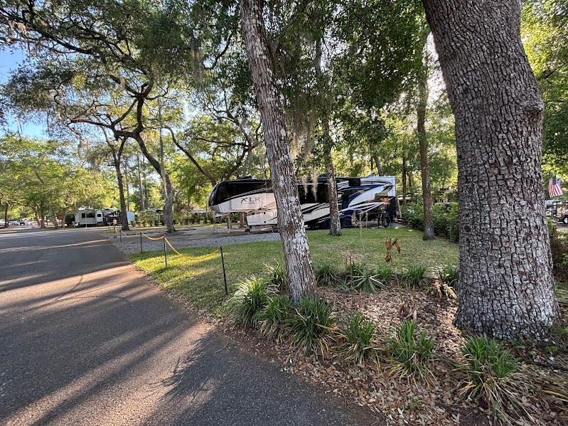 14262 Northeast 252nd Ct Road, Unit 198 Fort McCoy, FL 32134 - Photo 9 of 39