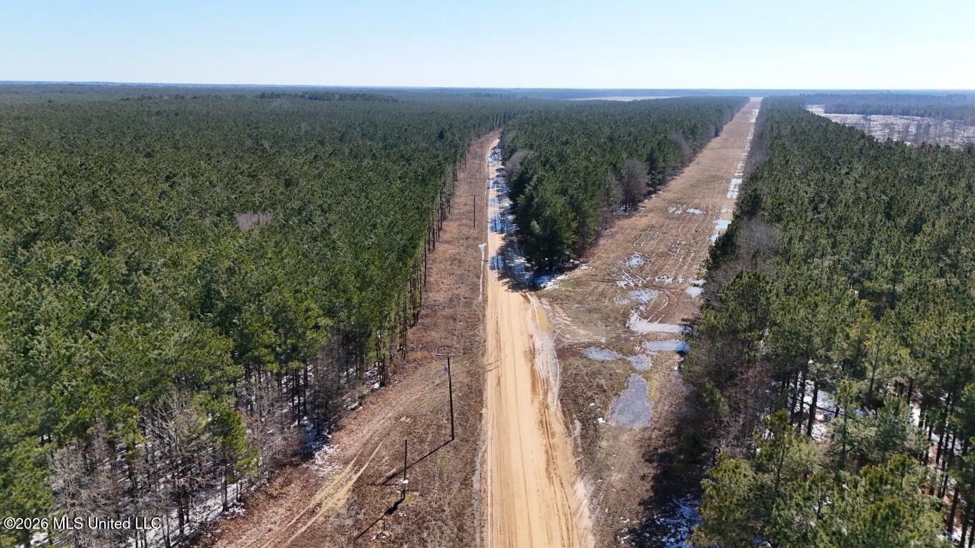 Debutte Road Bastrop, LA 71220 - Photo 5 of 28 DJI_20260202125720_0131_D (Medium)