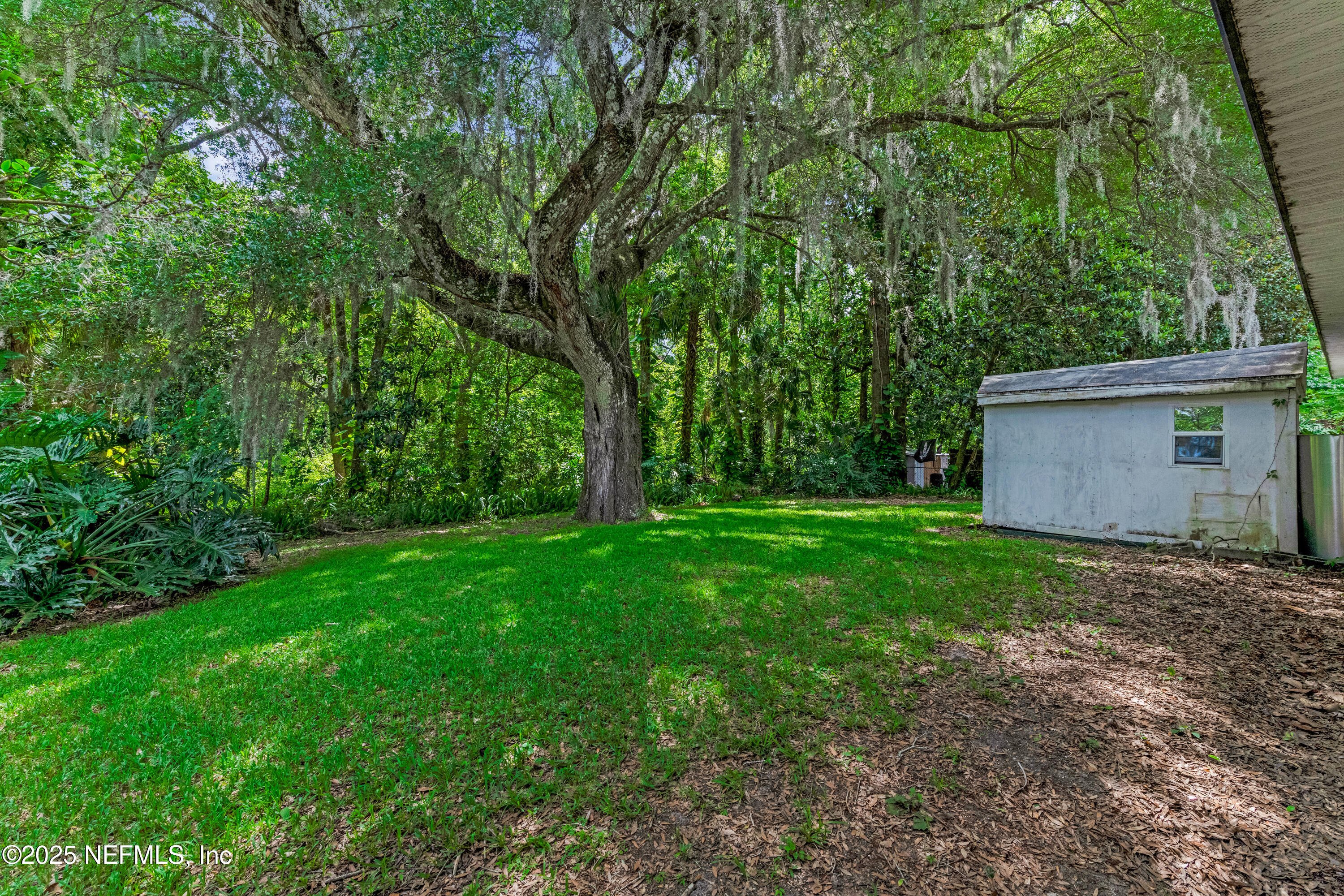 1399 Old Kings Road Daytona Beach, FL 32117 - Photo 12 of 27 a view of a backyard with a plants and large trees
