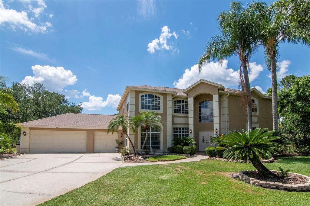 18511 Bittern Avenue Lutz, FL 33558 - Photo 4 of 63
