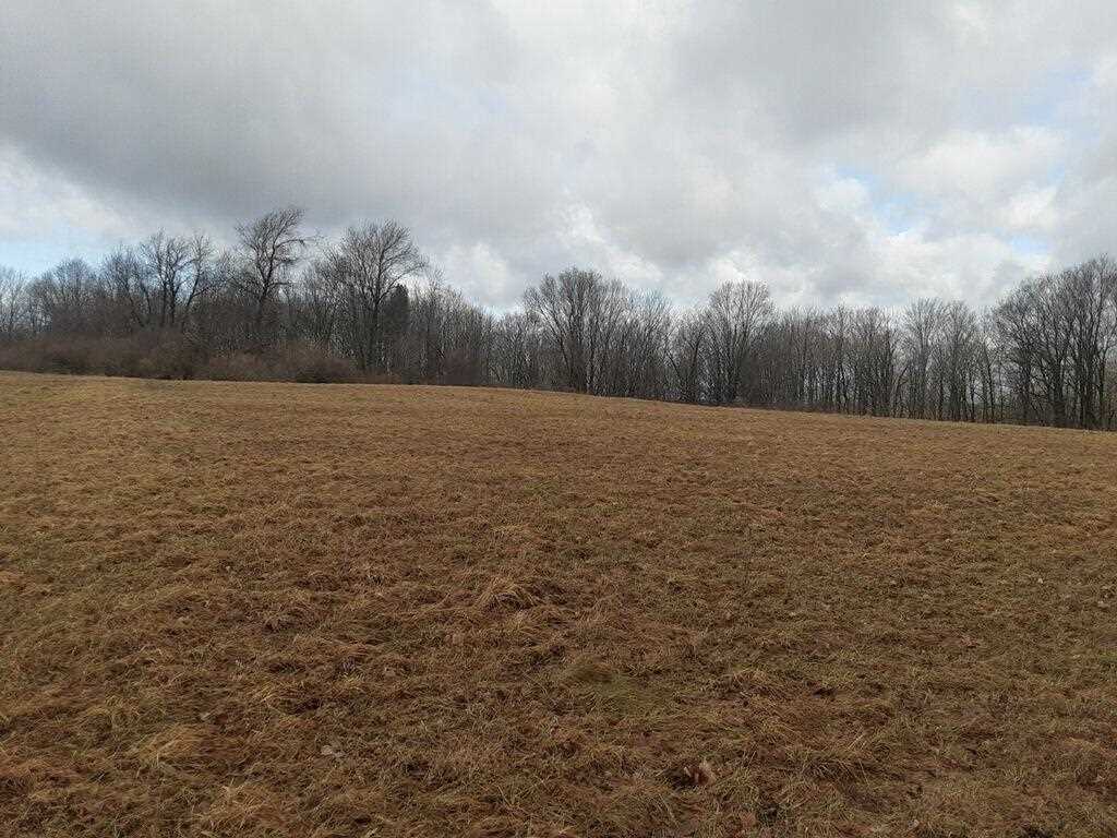 38-acres East Hazel Road Mears, MI 49436 - Photo 8 of 12