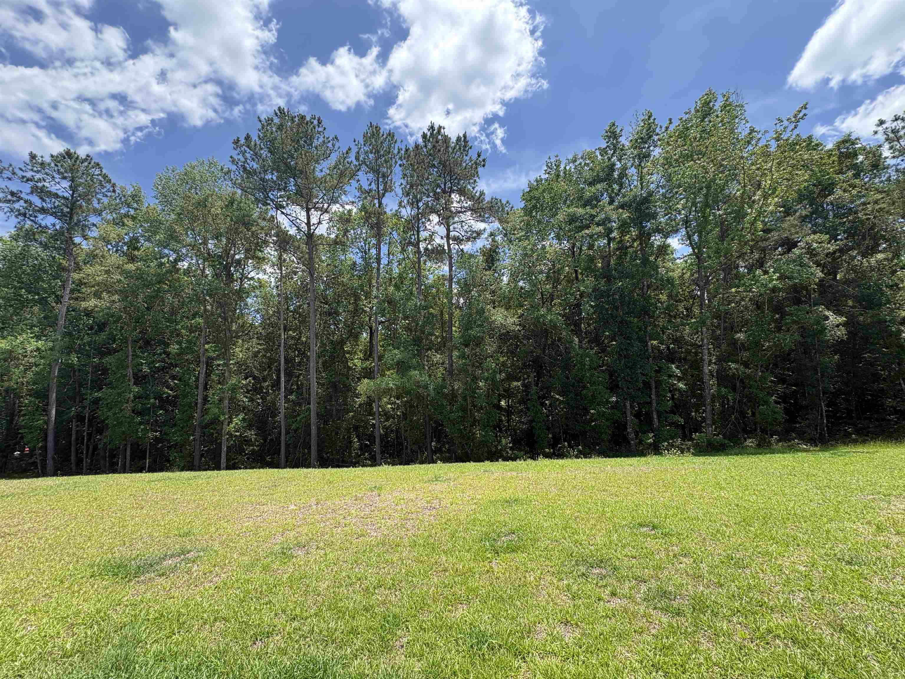 34 Frank Run Midway, FL 32343 - Photo 21 of 24