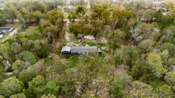 a view of a bunch of trees and bushes