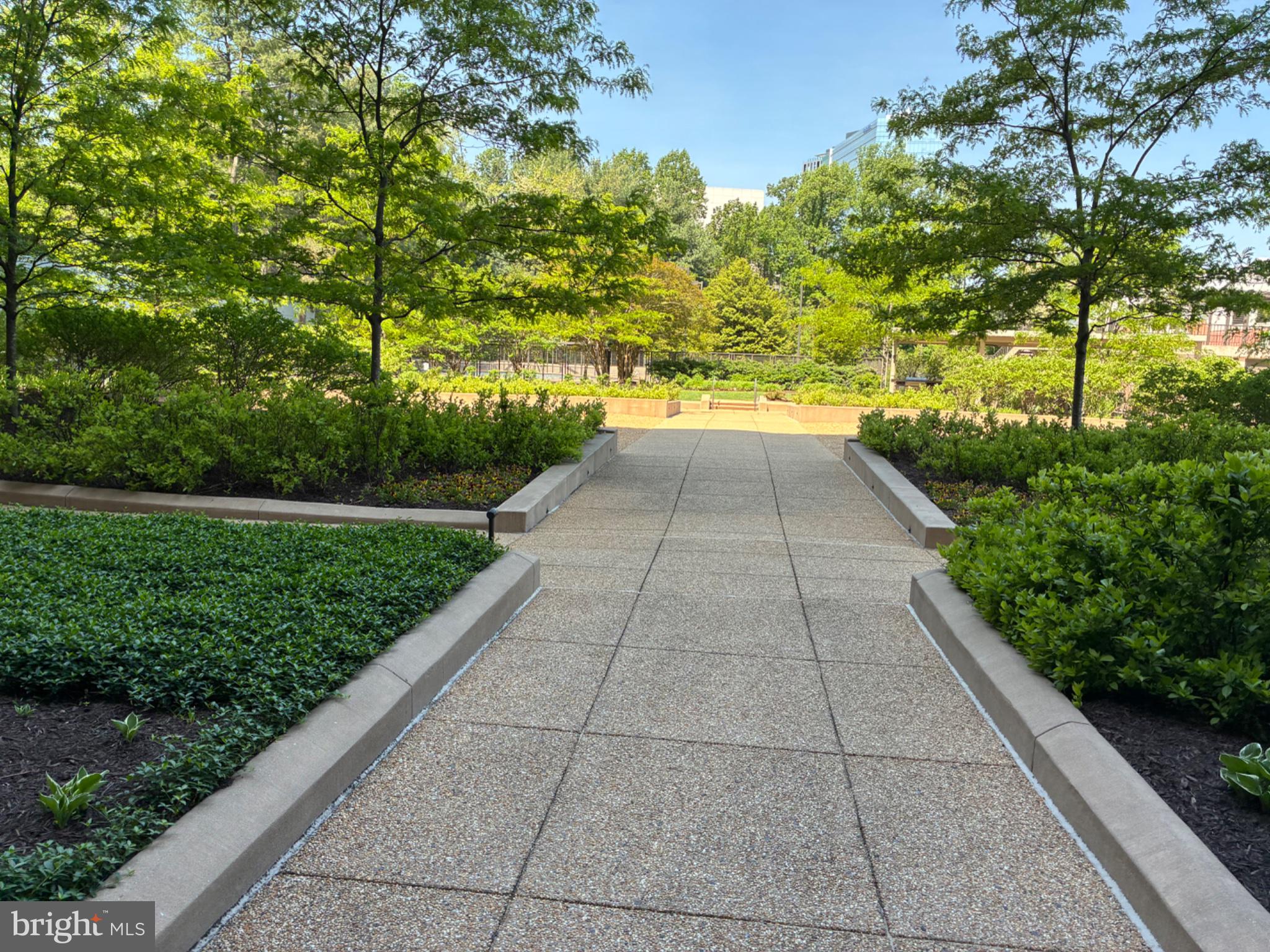 1800 Old Meadow Road, Unit 101 McLean, VA 22102 - Photo 11 of 50 a view of flowing garden with large trees