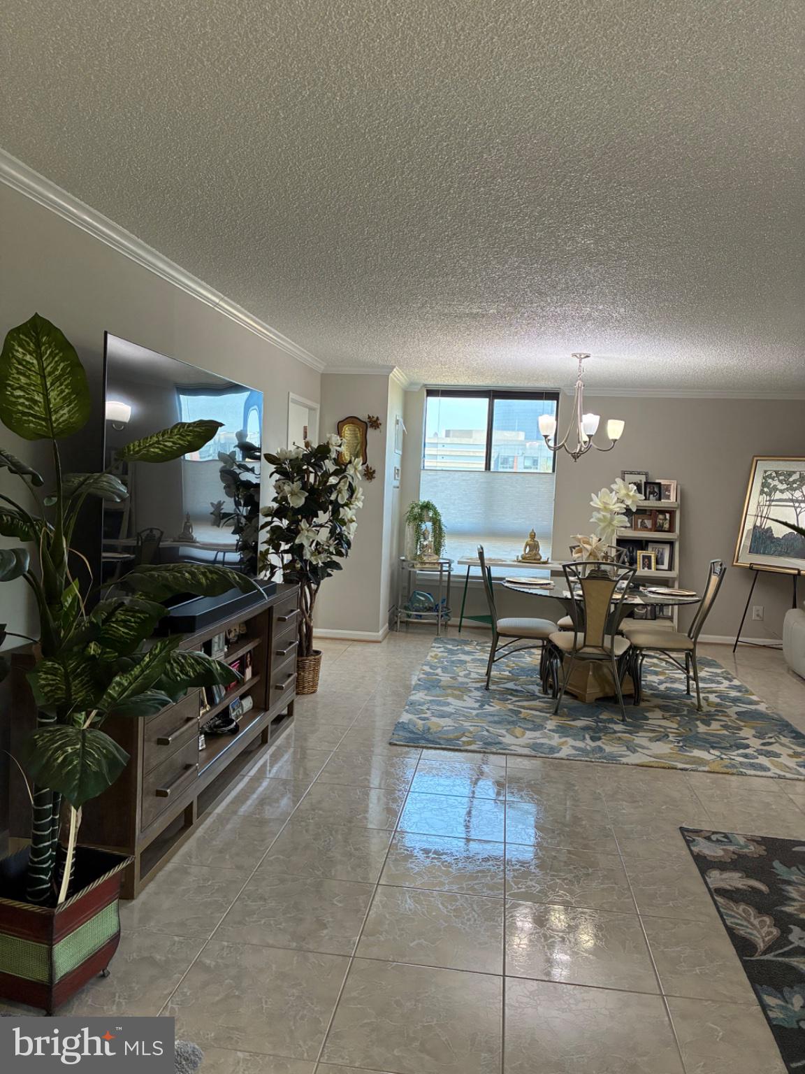 1800 Old Meadow Road, Unit 101 McLean, VA 22102 - Photo 38 of 50 a living room with furniture a potted plant and couches