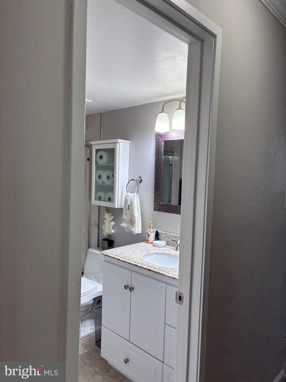1800 Old Meadow Road, Unit 101 McLean, VA 22102 - Photo 49 of 50 a bathroom with a sink and a mirror