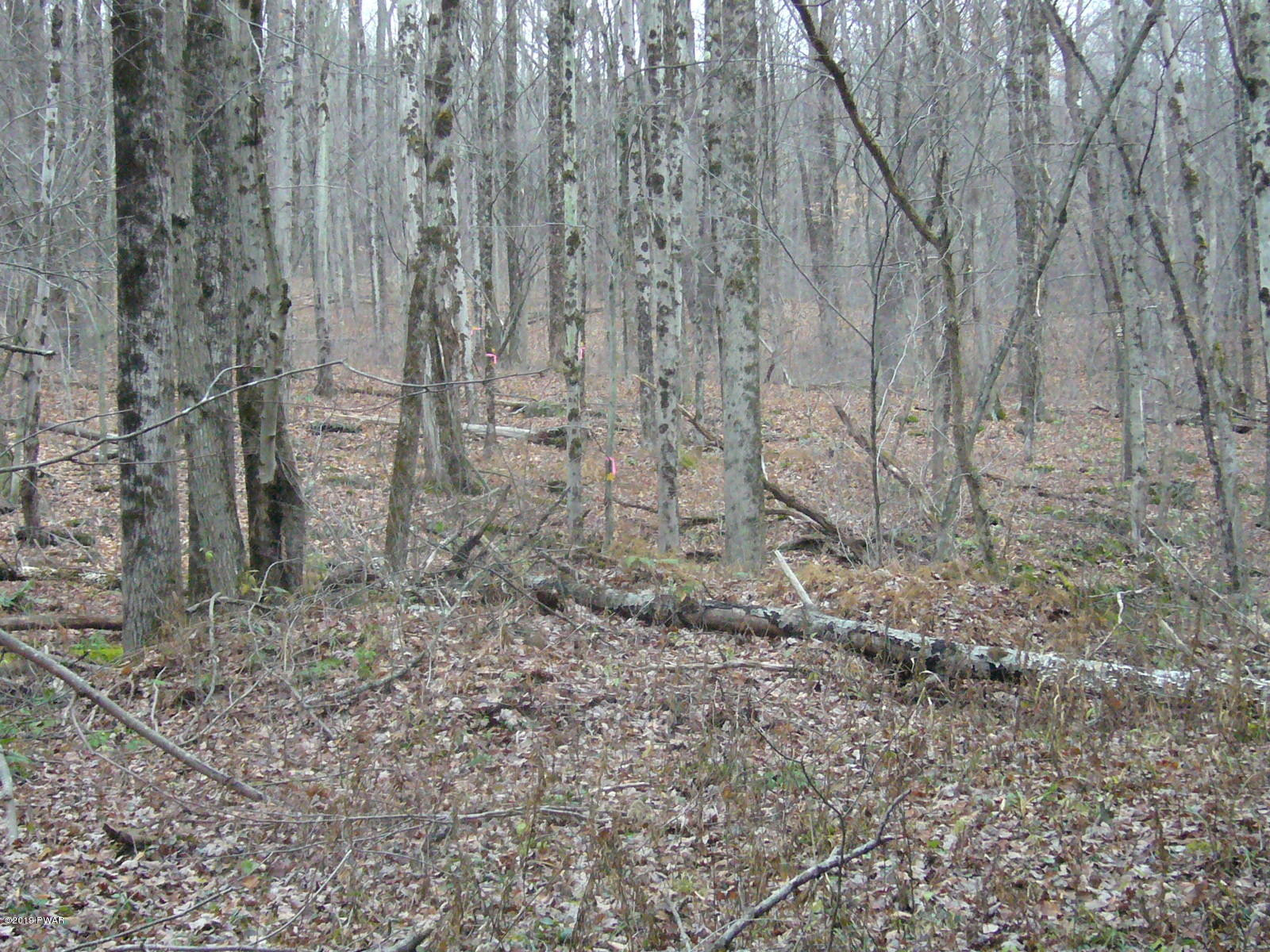 Simpson Road Lakewood, PA 18439 - Photo 7 of 14
