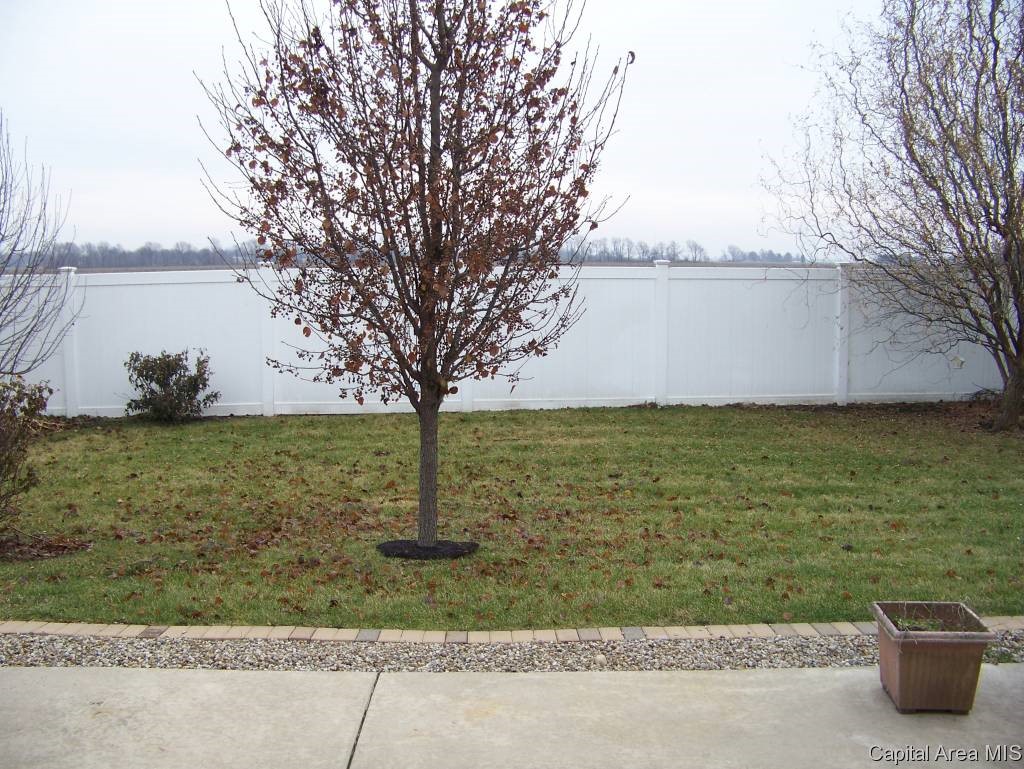 712 Heathrow Lane Rochester, IL 62563 - Photo 18 of 21