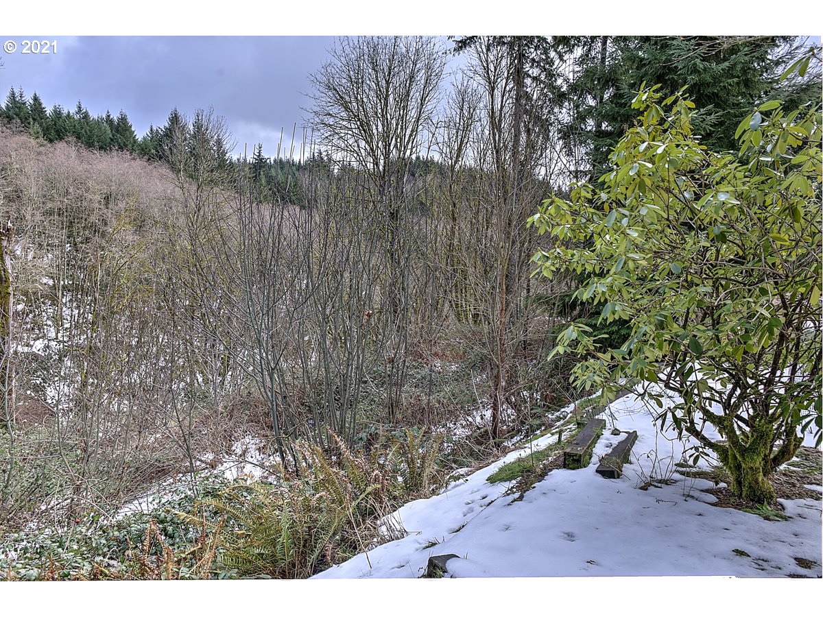 170 Hawks View Road Woodland, WA 98674 - Photo 9 of 32 Gallery Image 9