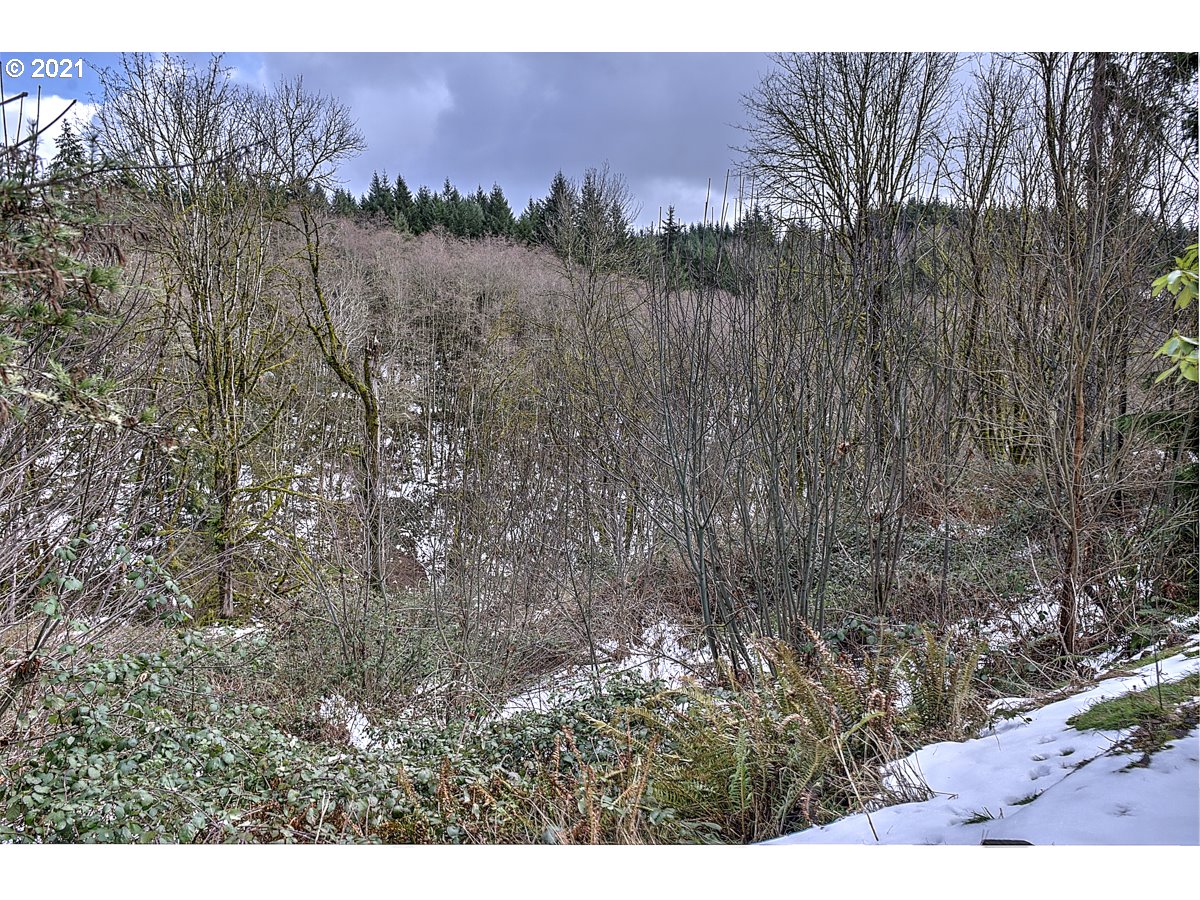 170 Hawks View Road Woodland, WA 98674 - Photo 10 of 32 Gallery Image 10