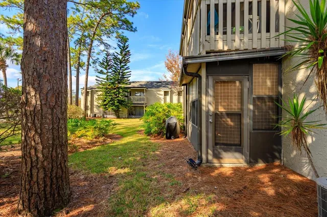 a view of a house with a small yard plants and large tree