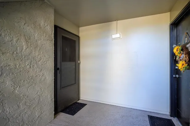 a view of a potted plant in a room