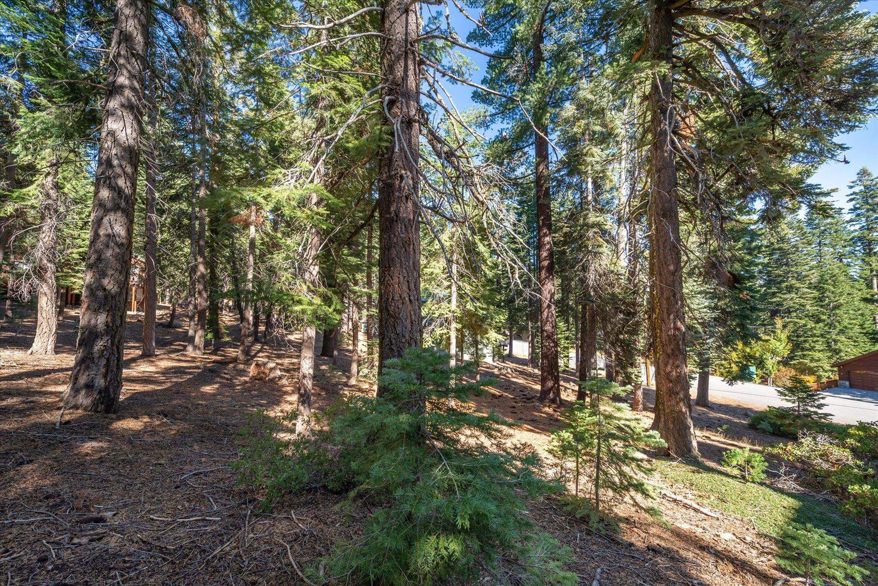 11888 Chamonix Road Truckee, CA 96161 - Photo 6 of 19 Gallery Image 6