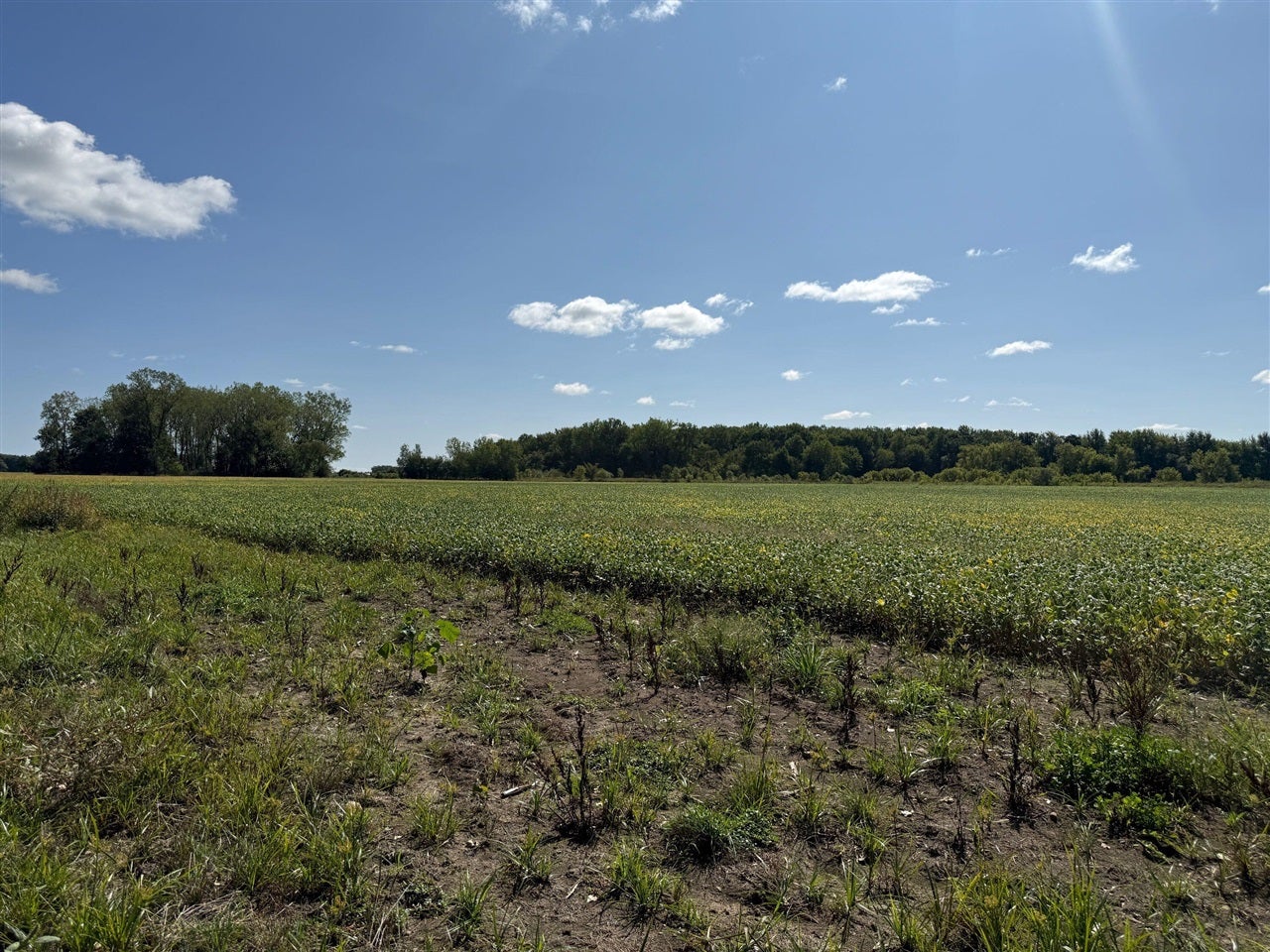 V/l Cade Road Capac, MI 48014 - Photo 30 of 43 Gallery Image 30