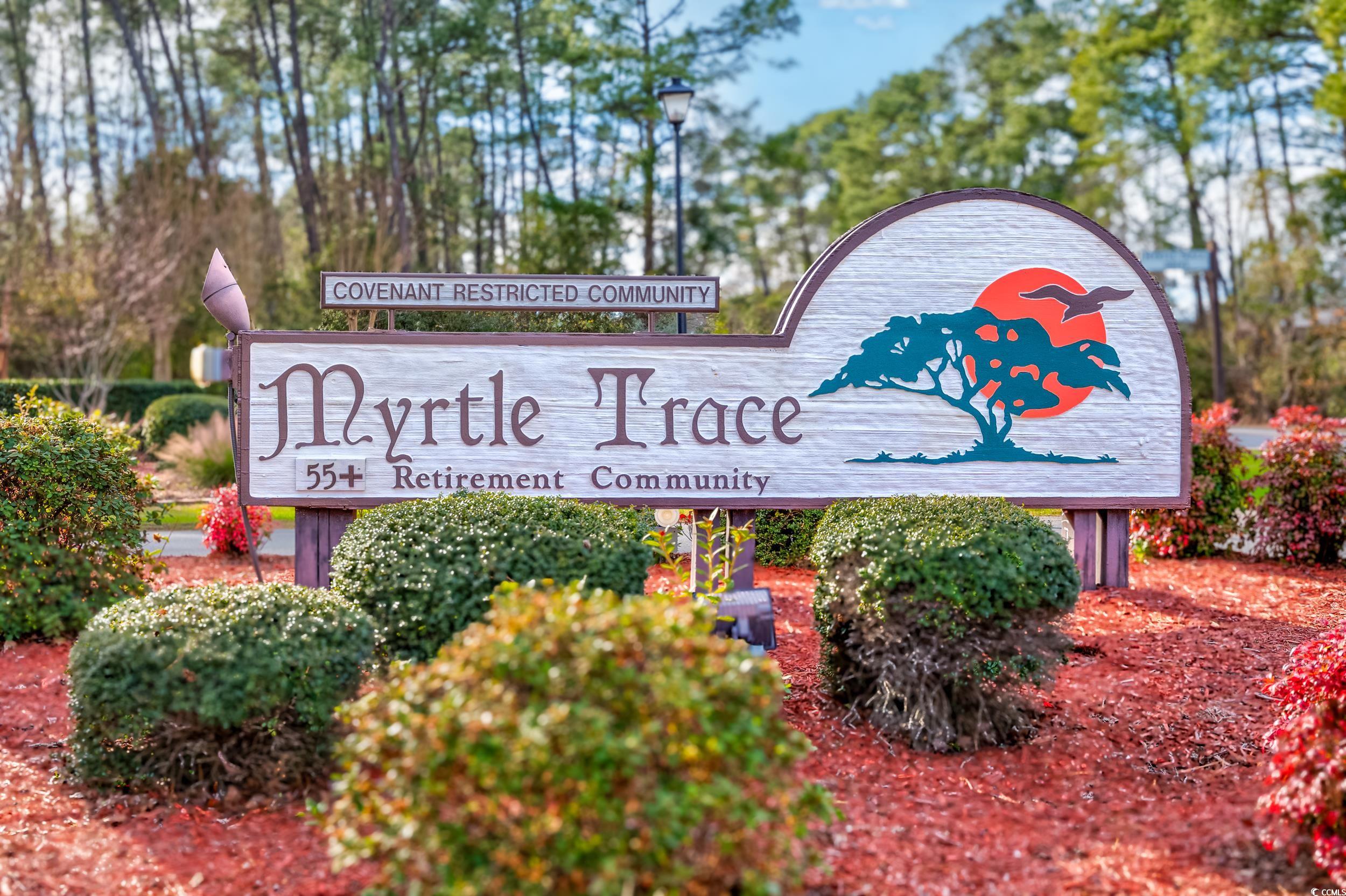 228 Cedar Ridge Lane Conway, SC 29526 - Photo 40 of 40