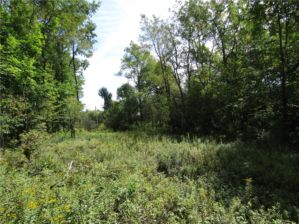 Titus Lake Road Jefferson, NY 12093 - Photo 12 of 16 Gallery Image 12