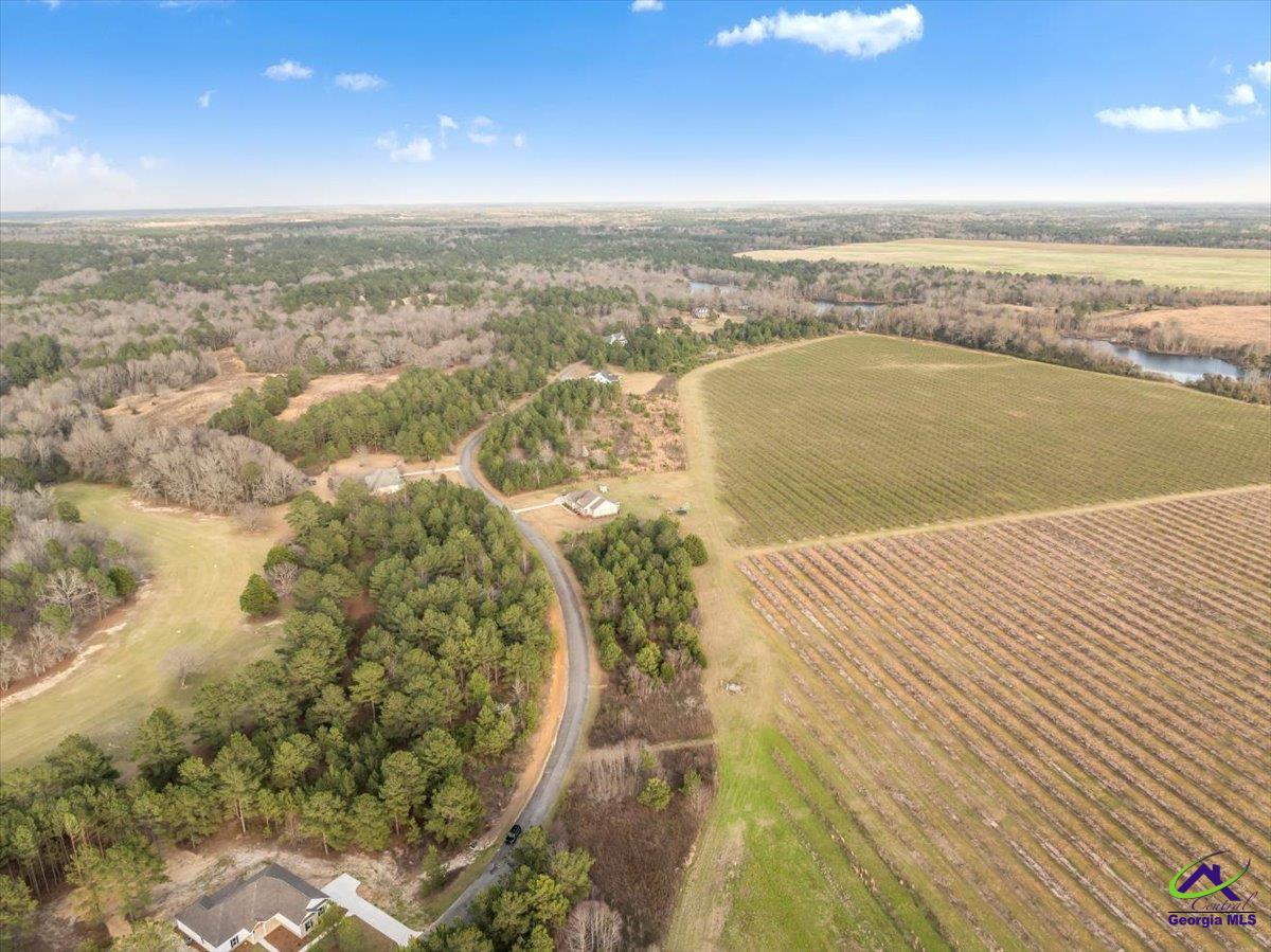 0 Woodland Trail Road Cochran, GA 31014 - Photo 8 of 20