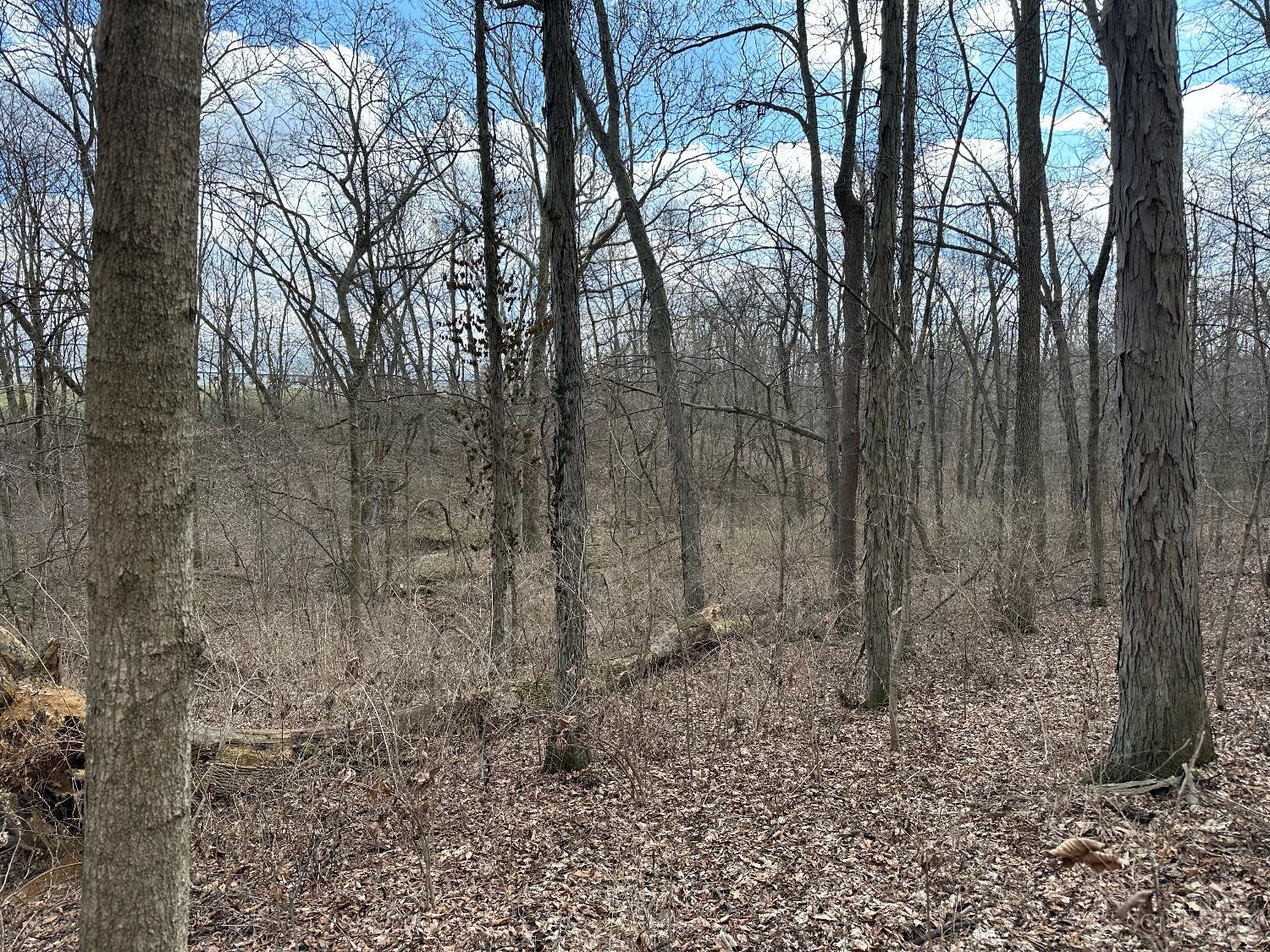 0 Wilson Road Winchester, OH 45697 - Photo 45 of 69