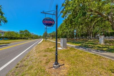 329 Sunset Way Palm Harbor, FL 34683 - Photo 63 of 72