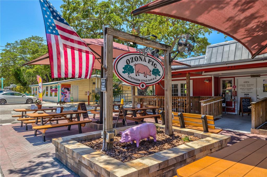 329 Sunset Way Palm Harbor, FL 34683 - Photo 67 of 72