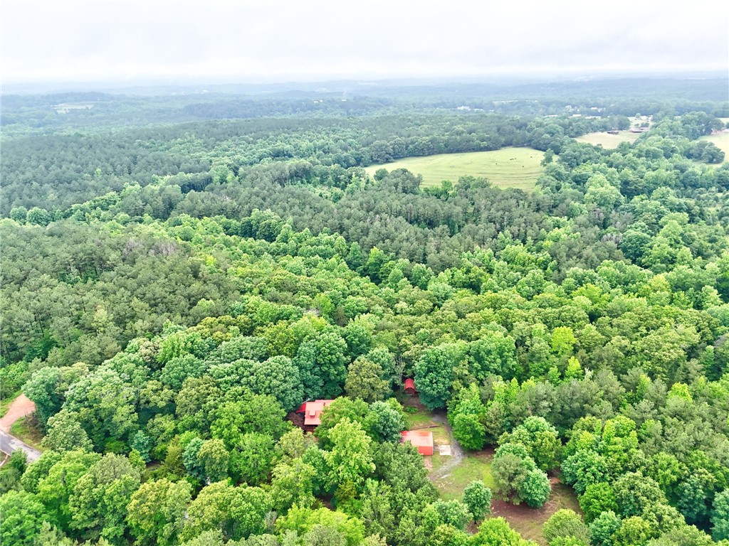 237 Spring Valley Road Liberty, SC 29657 - Photo 43 of 50 Perched amidst a verdant canopy, this property offers serene privacy and expansive natural surroundings.
