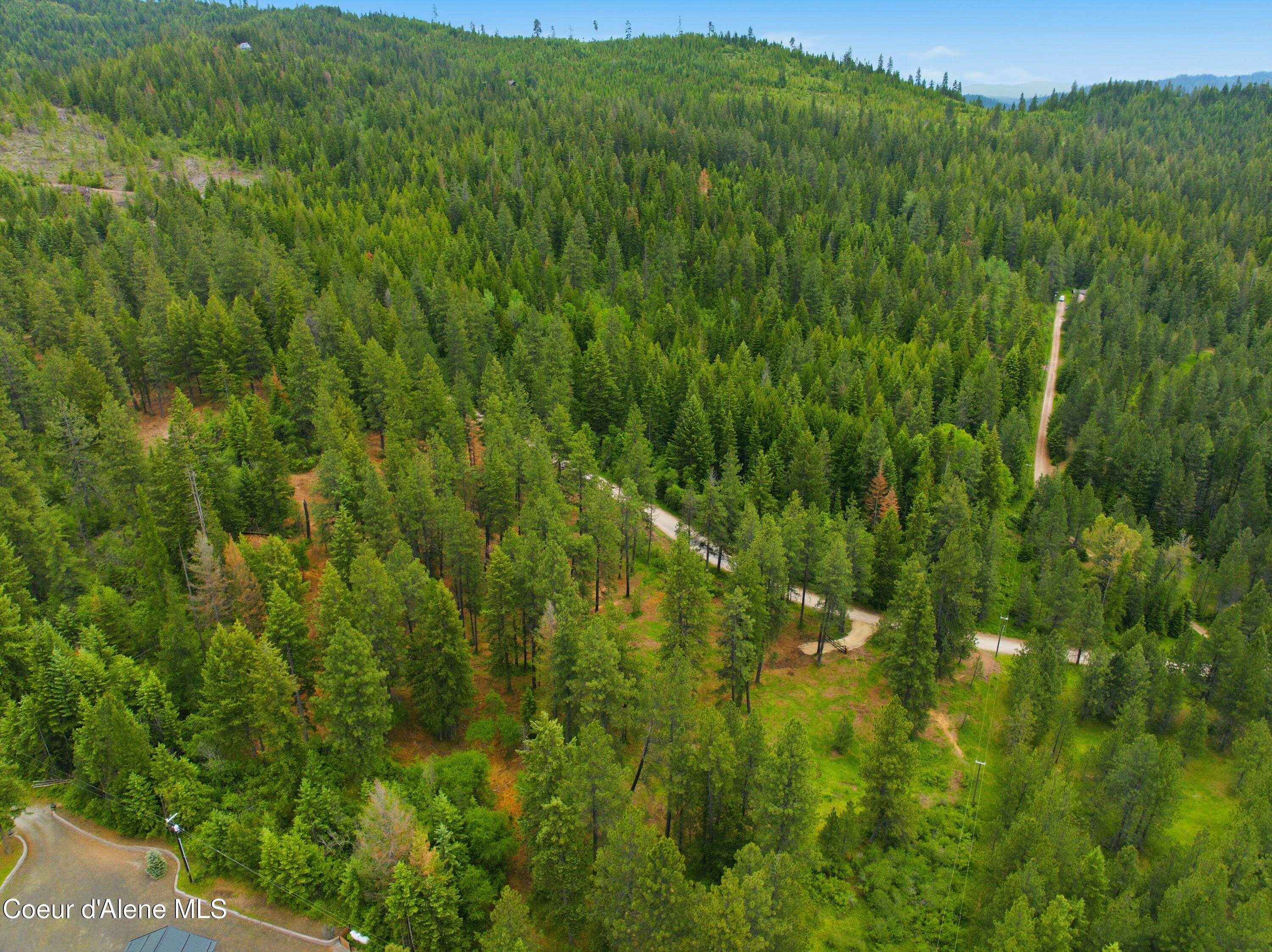 Parcel C South Dunlap Road Harrison, ID 83833 - Photo 13 of 22 38-Parcels A,B,C Dunlap Road_RedHogMedia