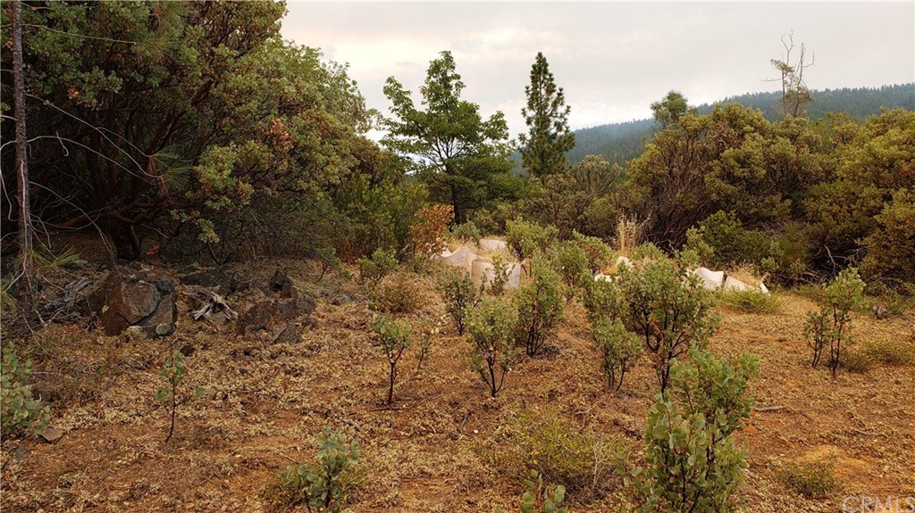 0 Robinson Mill Road Oroville, CA 95966 - Photo 2 of 15 Gallery Image 2